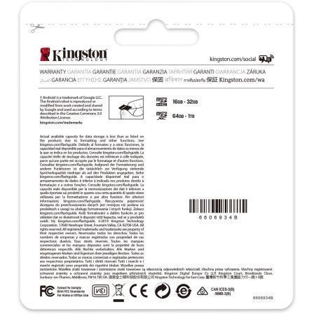 Kingston Canvas Select Plus 64 GB microSDXC Clase 10 con Adaptador SD